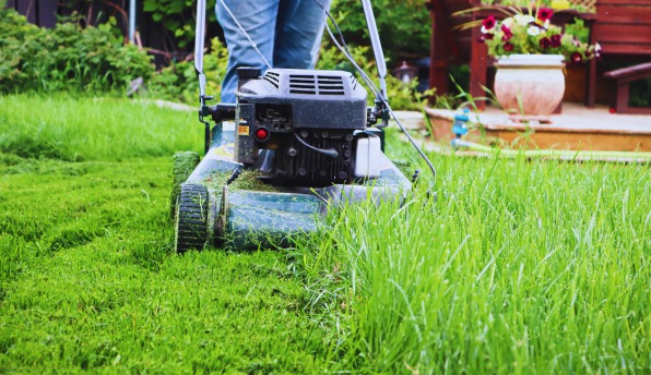 gardening